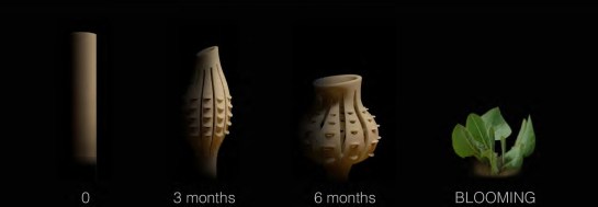 KIM TAEGYUN_ANTI-DESERTIFICATION PROJECT_Page_02