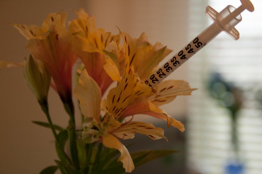 Tom Hoare honeymaking project