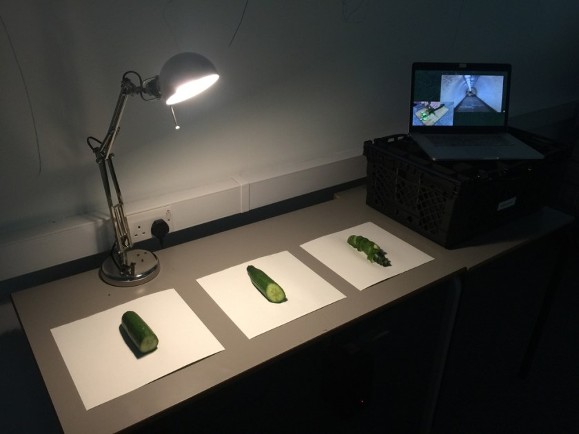 A simulation of cutting the cucumber